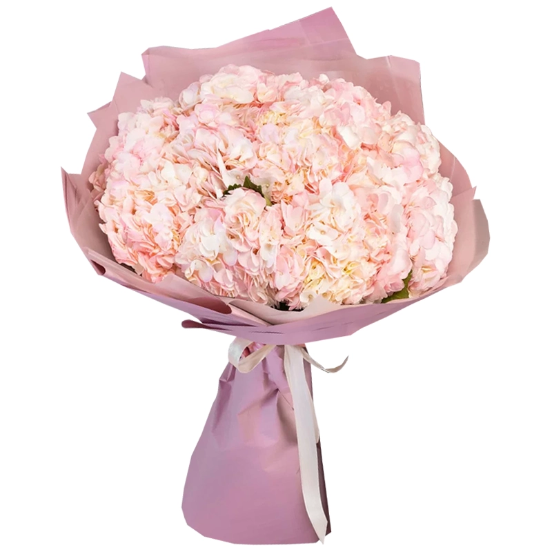 Букет из 11 розовых гортензий