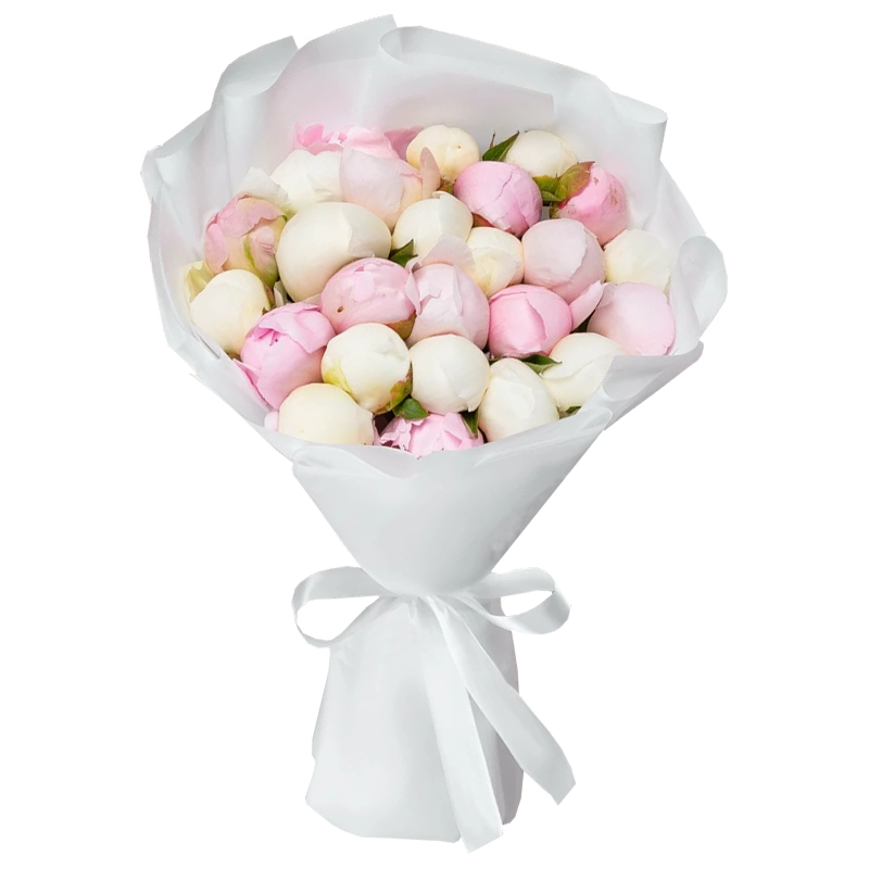 Букет из 25 белых и розовых пионов
