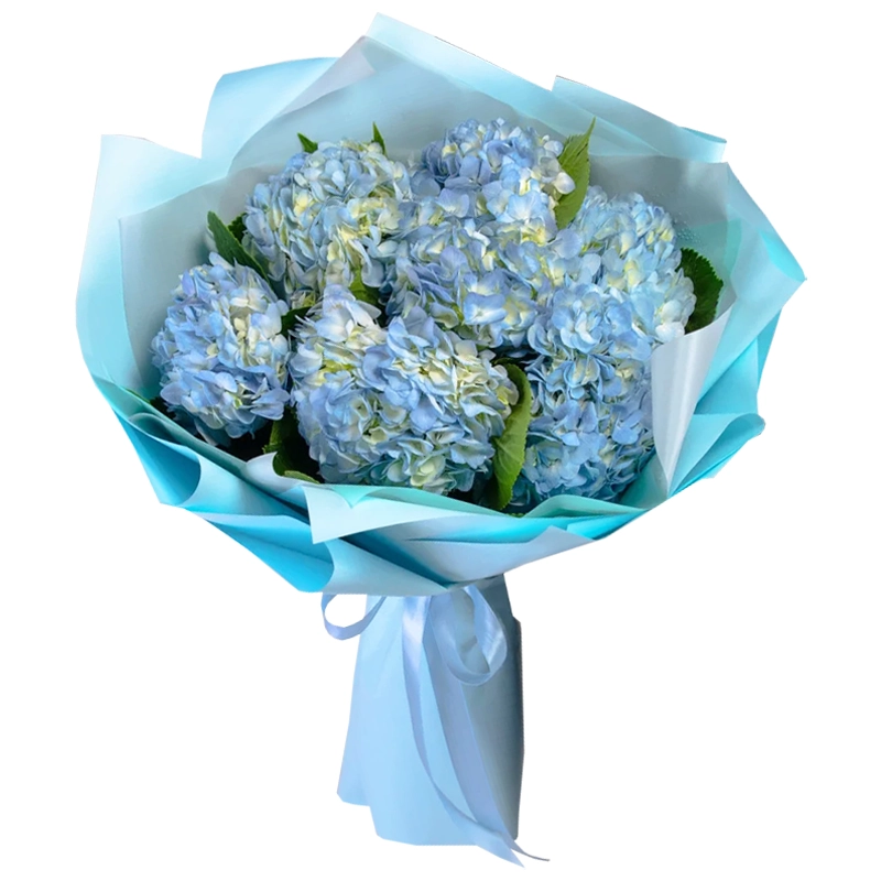 Букет из 7 синих гортензий